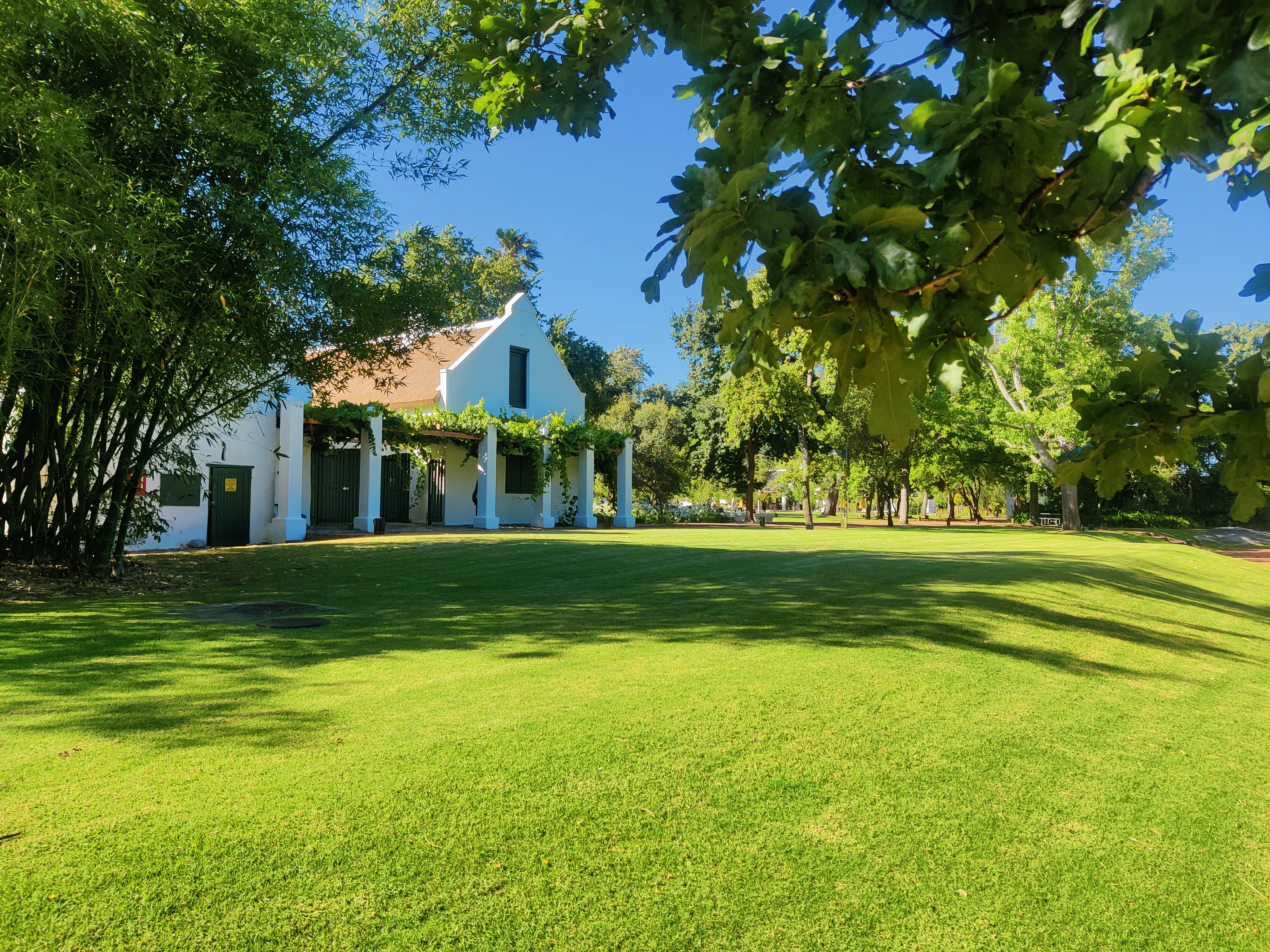 Cafe hopping in Stellenbosch